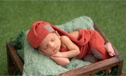 男人消失了人类就要灭绝?不!女人自己就能生孩子