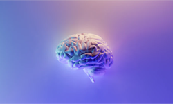 人间真实:多数人的命运早已被决定,智商左右着我们的工作、收入和成功