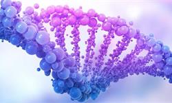 中科院团队新研究登上Science 找到守护“基因魔剪”的“暗物质”