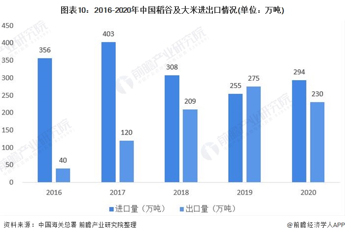 图表10：2016-2020年中国稻谷及大米进出口情况(单位：万吨)