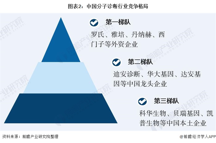 图表2：中国分子诊断行业竞争格局