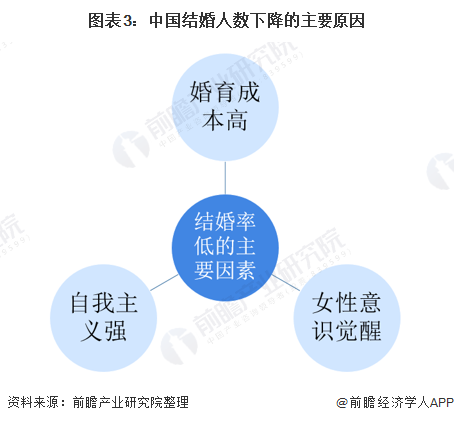 图表3：中国结婚人数下降的主要原因