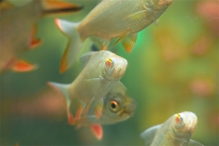 马克吐温曾说过:"正确的词可能有效,但没有哪个词比适时的停顿更有效.