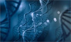 人類染色體質量首次被精準測量！有多重呢？你根本無法想象……