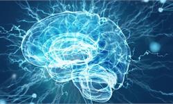 全家最弱王力宏？哥哥王力德获840万美元拨款，专注研究治疗儿科脑肿瘤