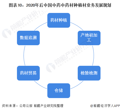 图表10：2020年后中国中药中药材种植材业务发展规划