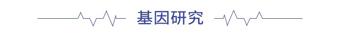 是
