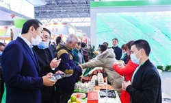 第十九届农交会11月将在深圳如期举办