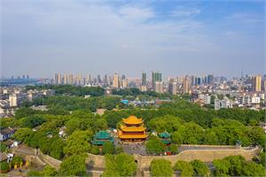 岳阳市：以最大诚意、最高效率 加快推动项目签约落地
