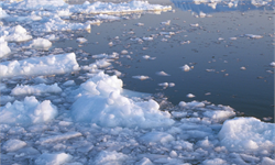 北极冰川融化可能会释放危险病毒，但不是世界末日！