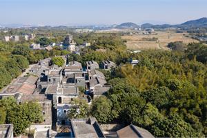 江门新会：奋力建设一流园区 打造高质量发展集聚高地