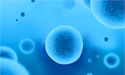 科学家研究干细胞的物理和化学表达，或得出细胞再生解决方案
