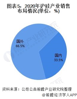 图表5：2020年沪硅产业销售布局情况(单位：%)