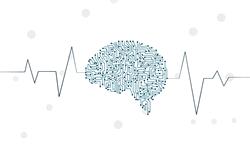 研究发现：大脑的磁刺激可以改善情景记忆