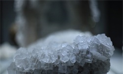 <em>天</em><em>降</em><em>横财</em>！女子在景区发现4.38克拉钻石，园方：谁挖到归谁