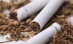 12300年前，人类就开始抽烟了！犹他州沙漠的壁炉遗址惊现烟草种子