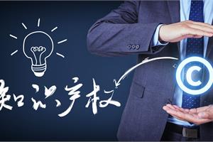 中共中央国务院印发 知识产权强国建设纲要（2021—2035年）