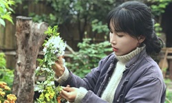 从李子柒事件，看网红和MCN机构的博弈