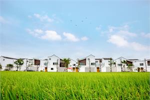 吉林省：农村产业振兴划重点 一系列支持政策将落地