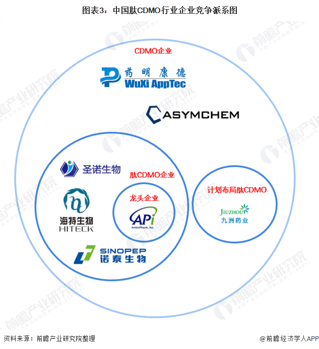 图表3：中国肽CDMO行业企业竞争派系图