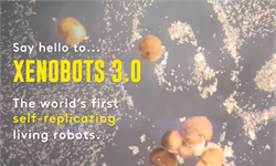 全球首个！100%青蛙细胞制成的活体机器人可“生娃”繁殖
