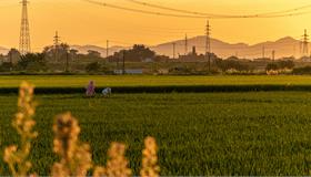 芜湖市湾沚区重大<em>招商</em>引资项目“一事一议”议事规则