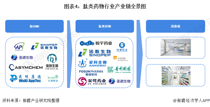 圖表4：肽類藥物行業(yè)產(chǎn)業(yè)鏈全景圖