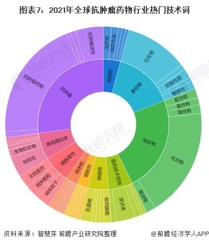 圖表7：2021年全球抗腫瘤藥物行業(yè)熱門技術(shù)詞