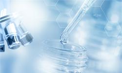 新冠研究急缺<em>蝙蝠</em>！科学家培育<em>蝙蝠</em>类器官 解释<em>蝙蝠</em>与病毒共存却不生病