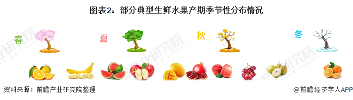 图表2：部分典型生鲜水果产期季节性分布情况