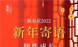 陈春花新年寄语:踏实行动,韧性成长