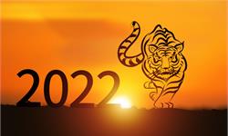 2021，重启 2022，外卷。