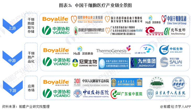 图表3：中国干细胞医疗产业链全景图