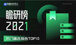 瞻研榜2021·热门精选报告TOP10