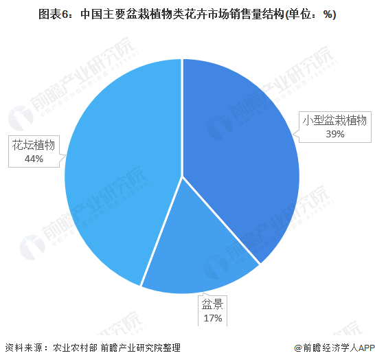 图表6：中国主要盆栽植物类花卉市场销售量结构(单位：%)