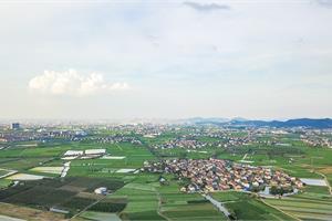 浙江松阳：牵线搭桥发展产业 助推乡村共同富裕