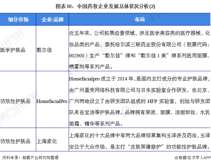 图表10：中国药妆企业发展总体状况分析(2)