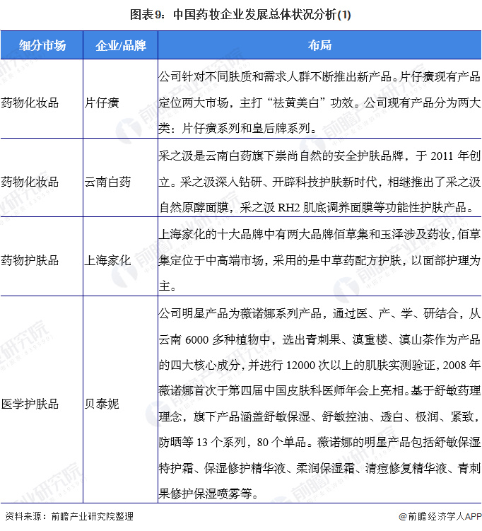 图表9：中国药妆企业发展总体状况分析(1)
