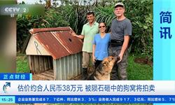 <em>天</em><em>降</em><em>横财</em>！被陨石砸中，一个狗窝将拍出38万元