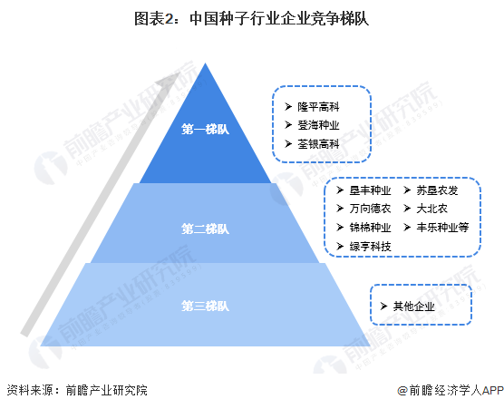 图表2：中国种子行业企业竞争梯队