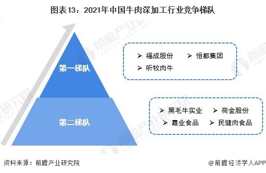 图表13：2021年中国牛肉深加工行业竞争梯队
