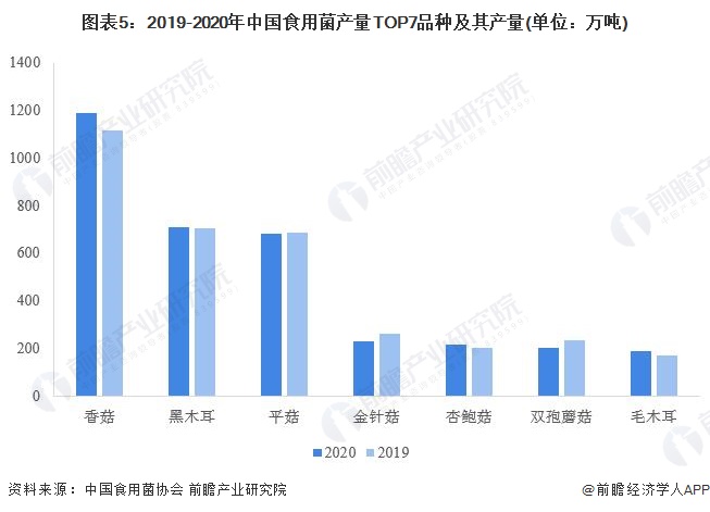 图表5：2019-2020年中国食用菌产量TOP7品种及其产量(单位：万吨)