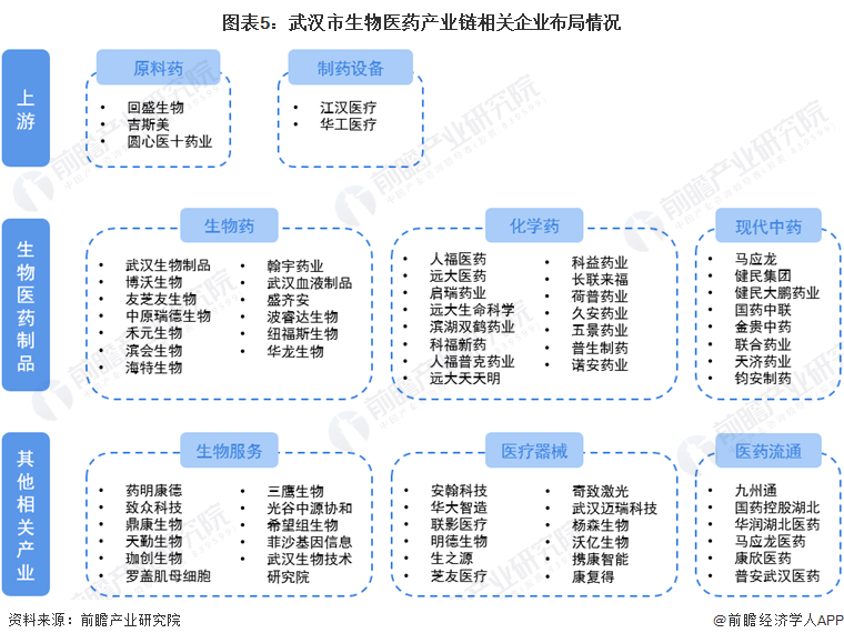图表5：武汉市生物医药产业链相关企业布局情况