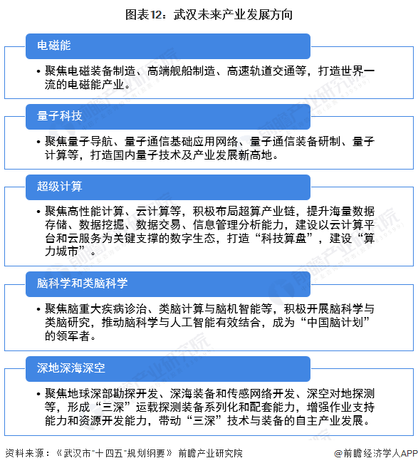 图表12：武汉未来产业发展方向