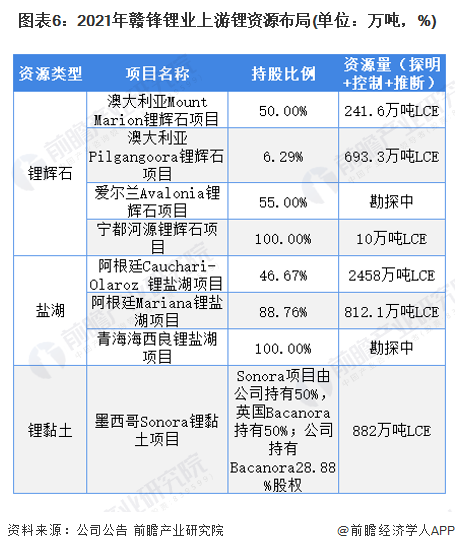 图表6：2021年赣锋锂业上游锂资源布局(单位：万吨，%)