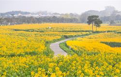 南京高淳区：2022年省级农作物病虫害绿色防控示范区申报指南