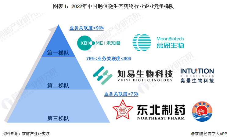 图表1：2022年中国肠道微生态药物行业企业竞争梯队