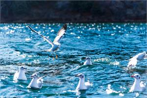 思南县扎实加强河湖动态监管保护水域安全