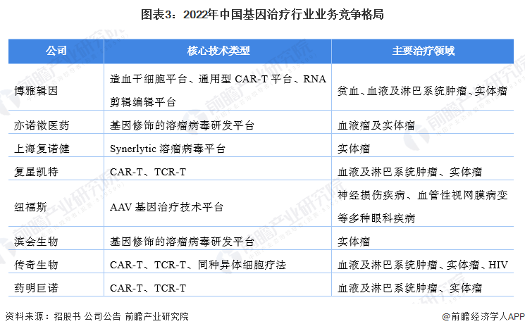 图表3：2022年中国基因治疗行业业务竞争格局