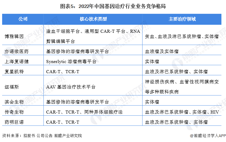 圖表5：2022年中國基因治療行業業務競爭格局